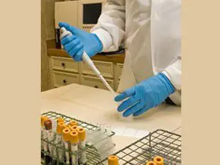 A person in blue gloves holding a pipette.